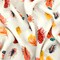 Ivory-Orange-Multi Feather Printed Rayon Crepe Faille Woven Fabric By the Yard